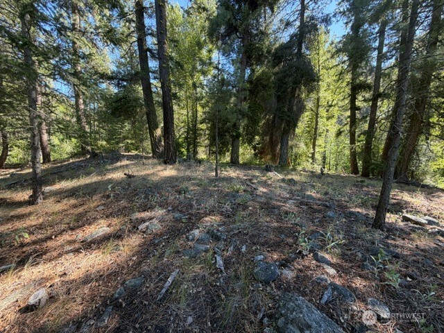 0 E Buttermilk Creek Road Property Photo 1
