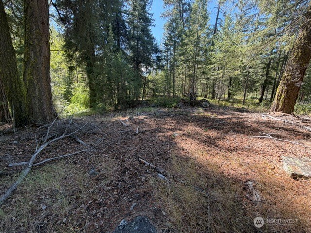 0 E Buttermilk Creek Road Property Photo 2