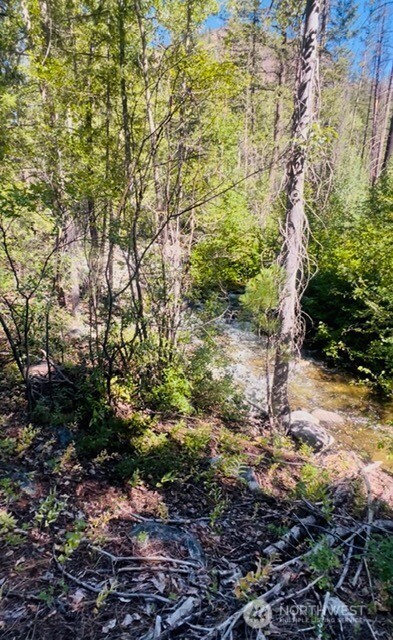 0 E Buttermilk Creek Road Property Photo 3