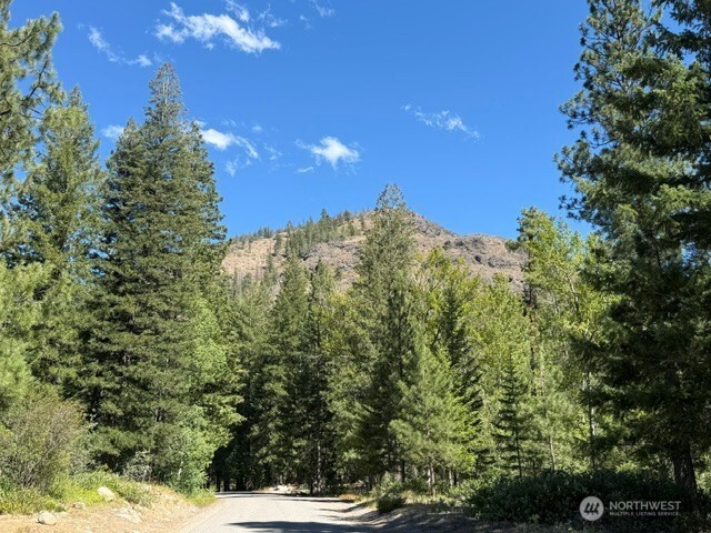 0 E Buttermilk Creek Road Property Photo 5