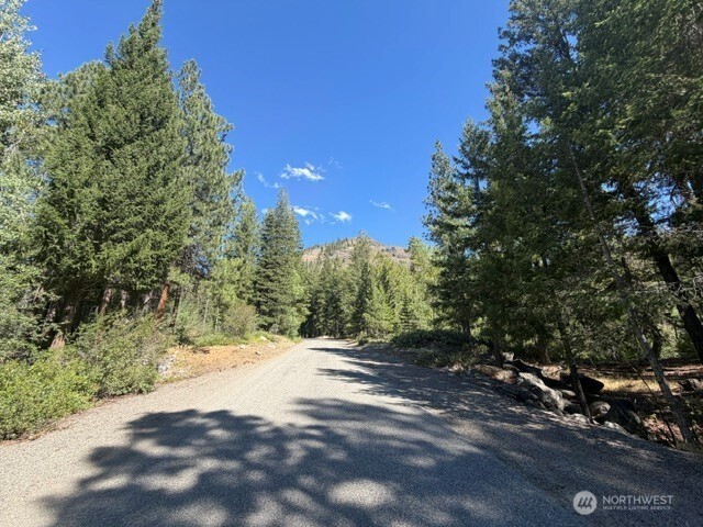 0 E Buttermilk Creek Road Property Photo 6