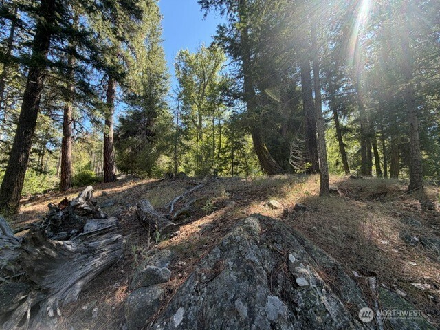 0 E Buttermilk Creek Road Property Photo 8