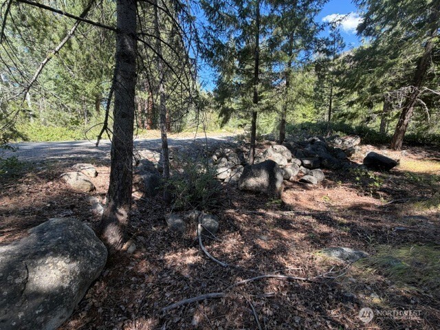 0 E Buttermilk Creek Road Property Photo 9