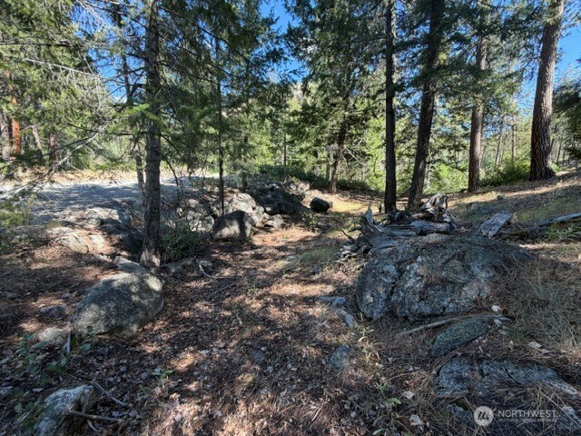 0 E Buttermilk Creek Road Property Photo 10