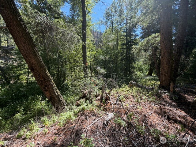 0 E Buttermilk Creek Road Property Photo 11