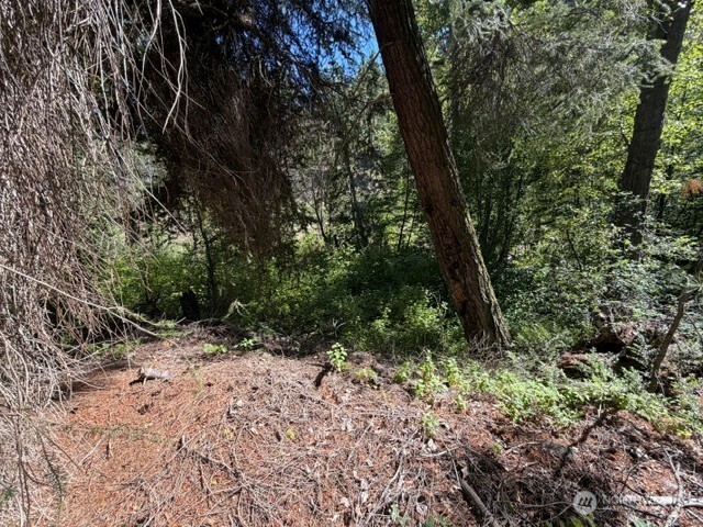 0 E Buttermilk Creek Road Property Photo 12