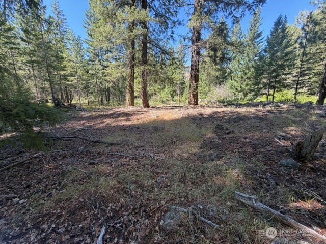 0 E Buttermilk Creek Road Property Photo 13