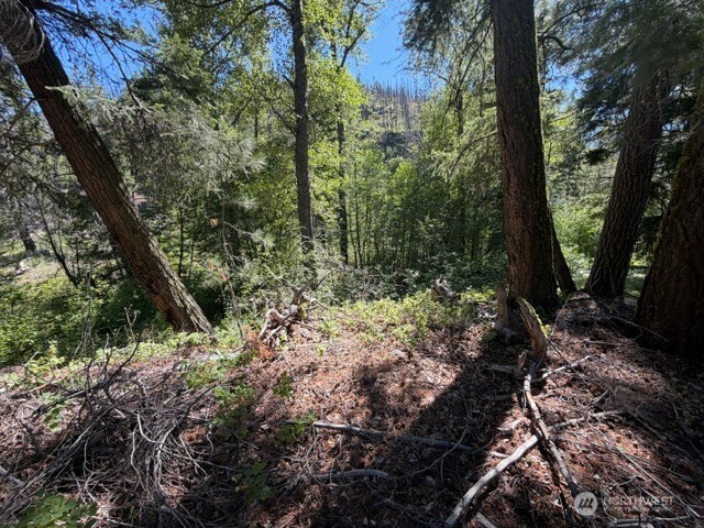 0 E Buttermilk Creek Road Property Photo 14