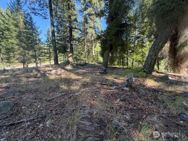 0 E Buttermilk Creek Road Property Photo 15