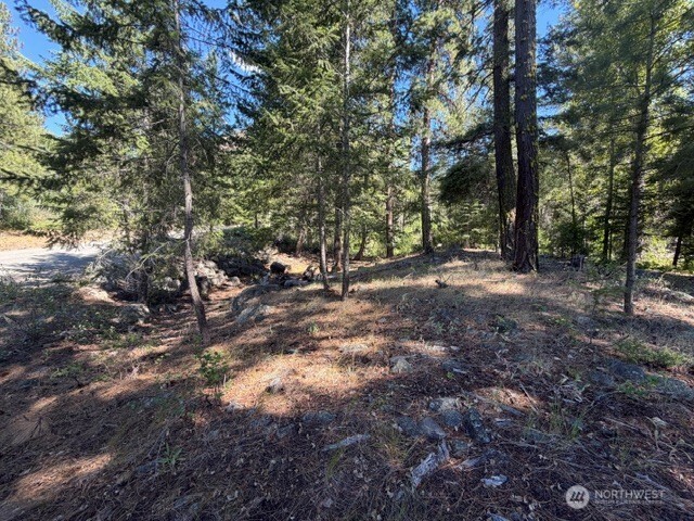 0 E Buttermilk Creek Road Property Photo 16