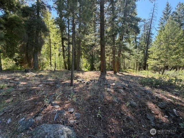 0 E Buttermilk Creek Road Property Photo 17