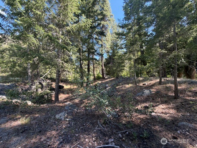 0 E Buttermilk Creek Road Property Photo 18