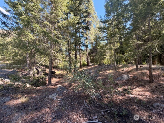 0 E Buttermilk Creek Road Property Photo 19