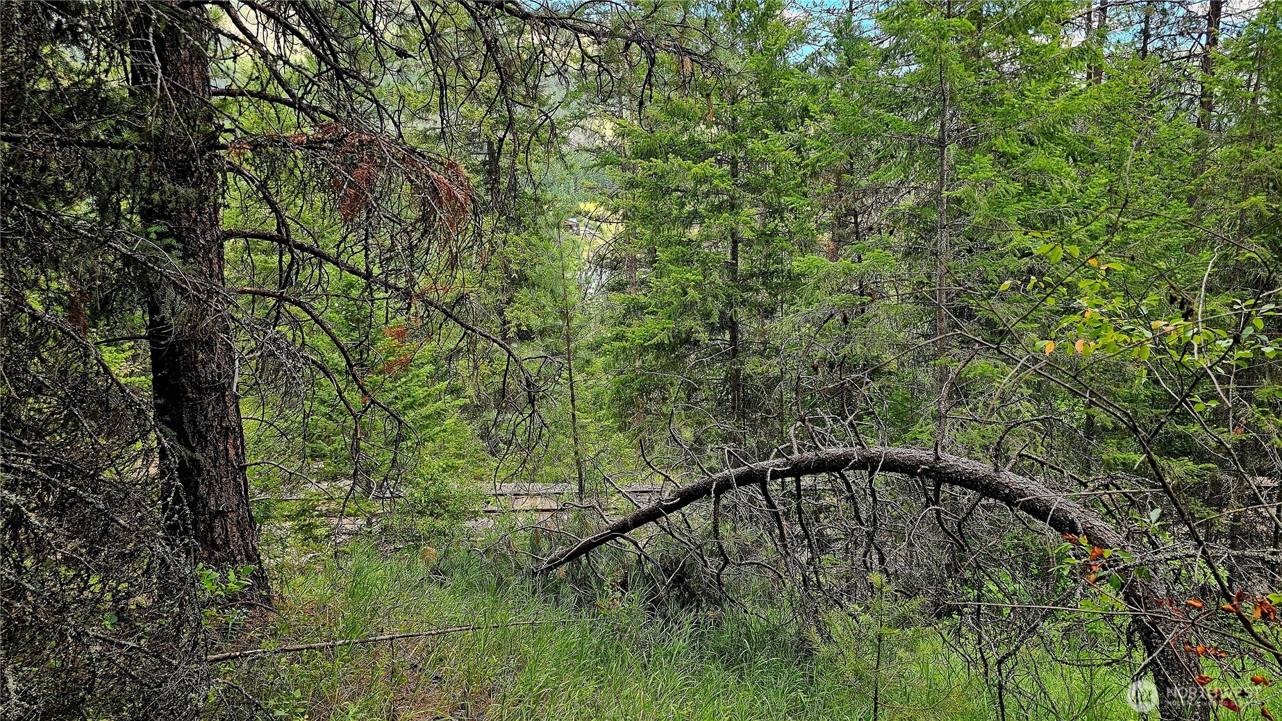 10 Humes Road Property Photo 14