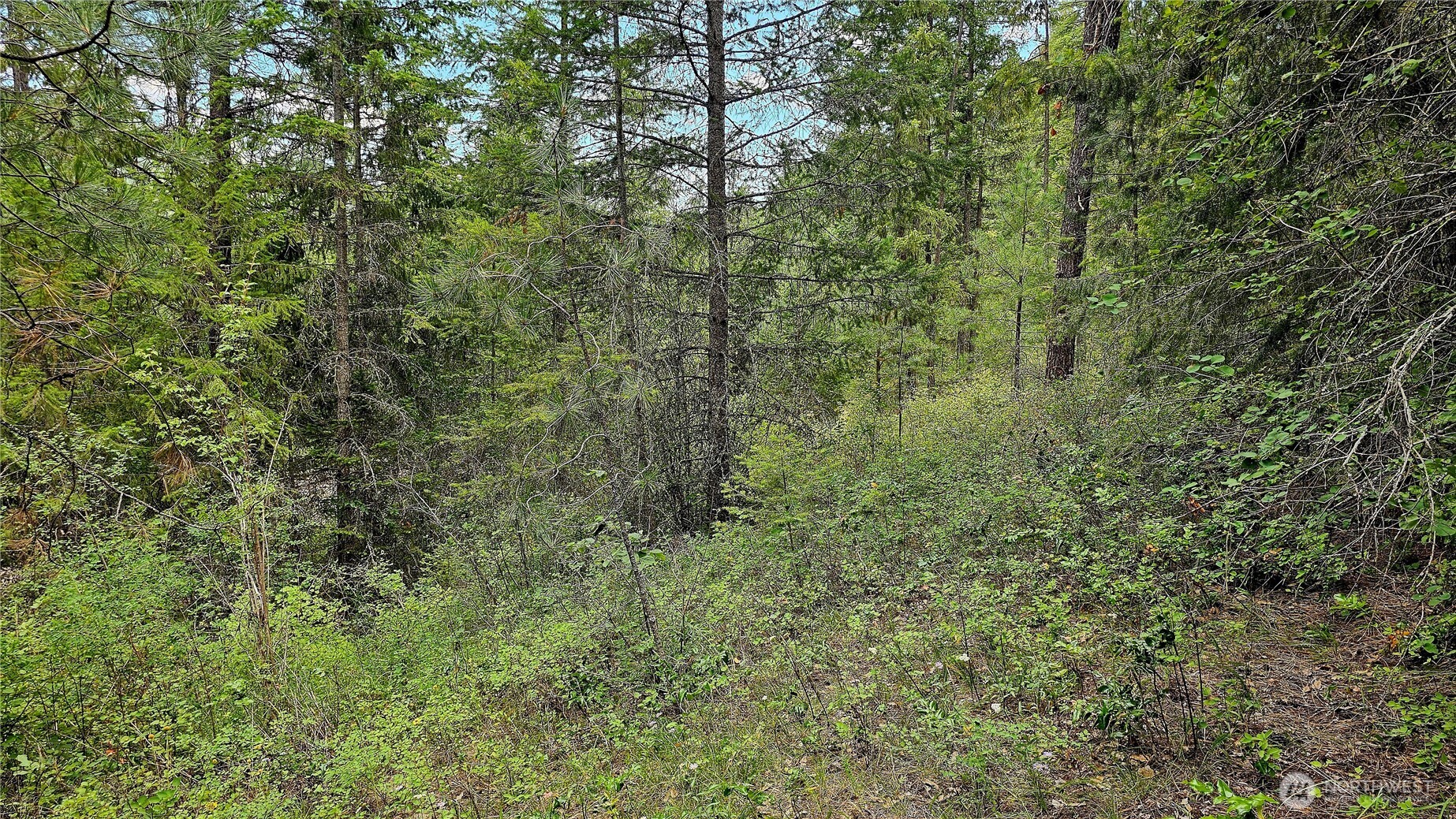 10 Humes Road Property Photo 17