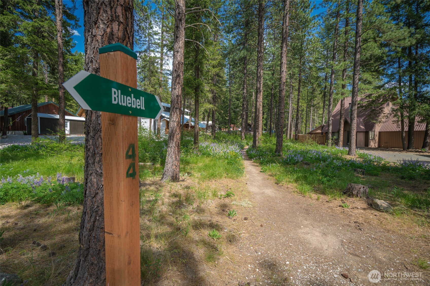 22401 Shetland Road Property Photo 27