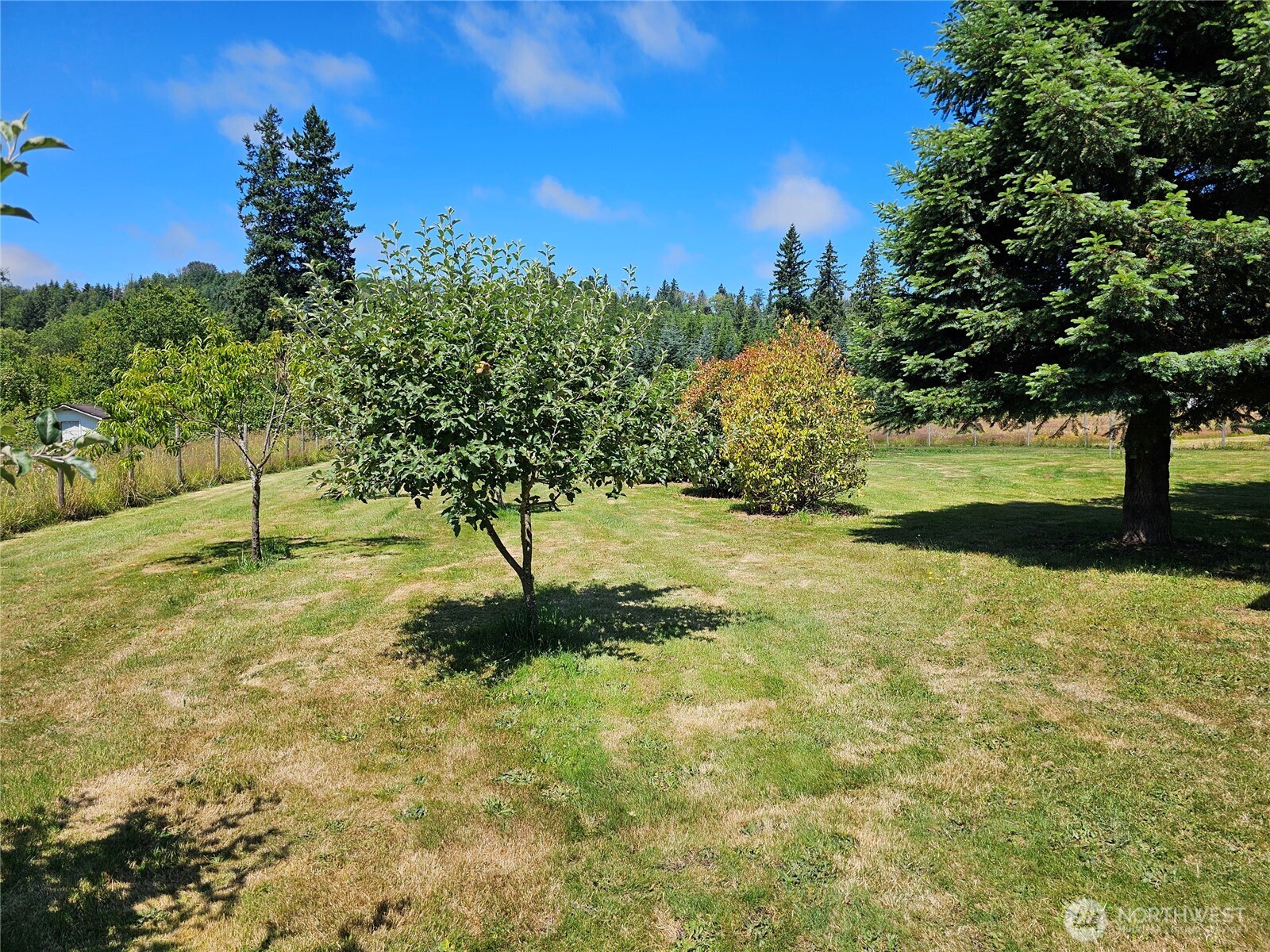 106 Maulwee Drive Property Photo 38