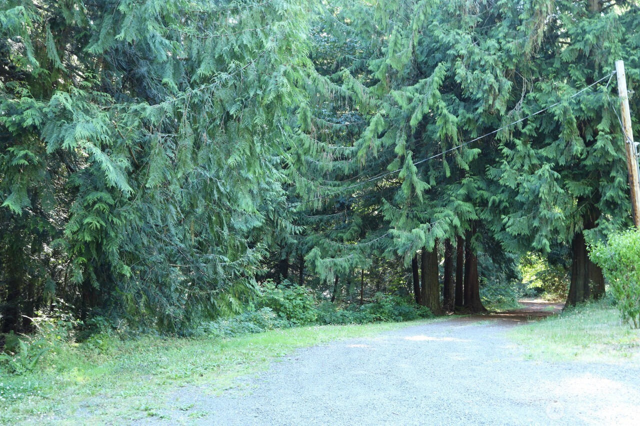 1924 Elger Bay Road Property Photo 33
