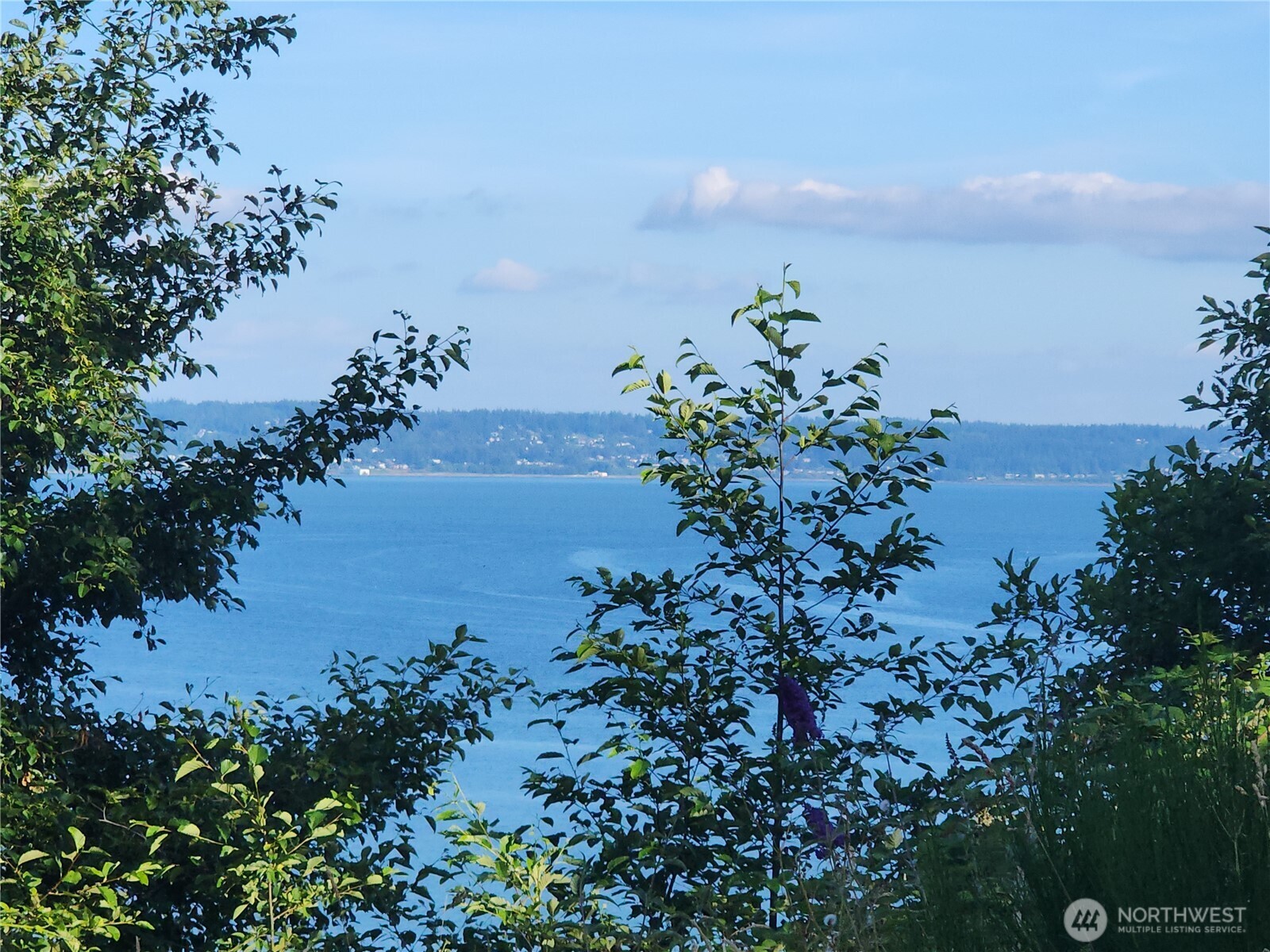 0 Whales Tail Property Photo 1
