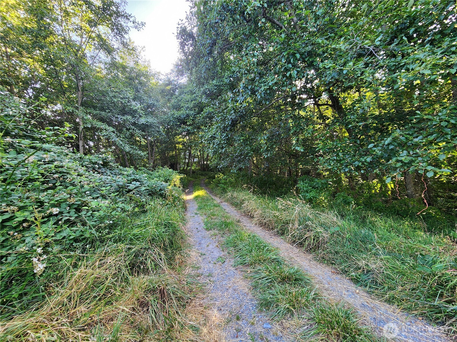 0 Whales Tail Property Photo 2