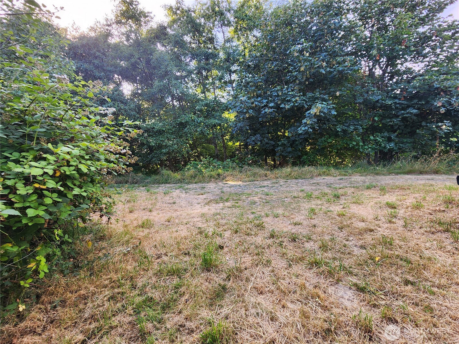 0 Whales Tail Property Photo 3