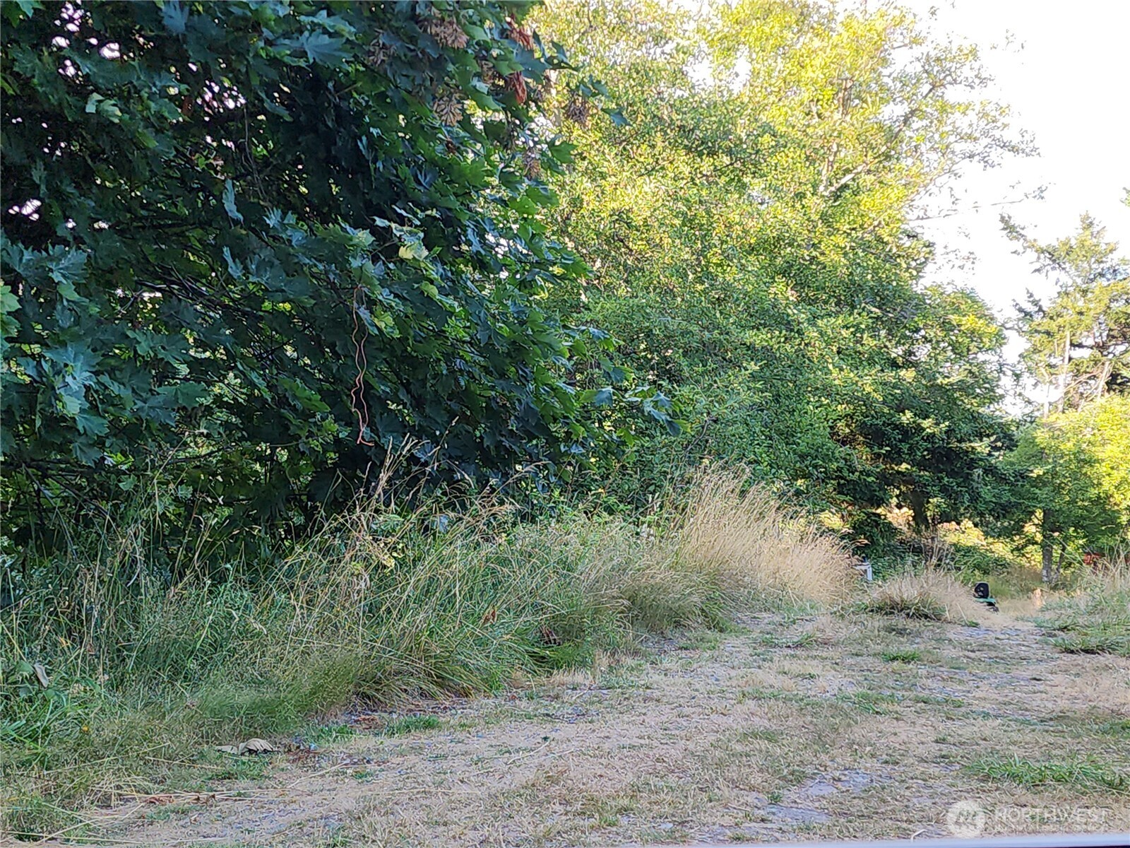 0 Whales Tail Property Photo 4