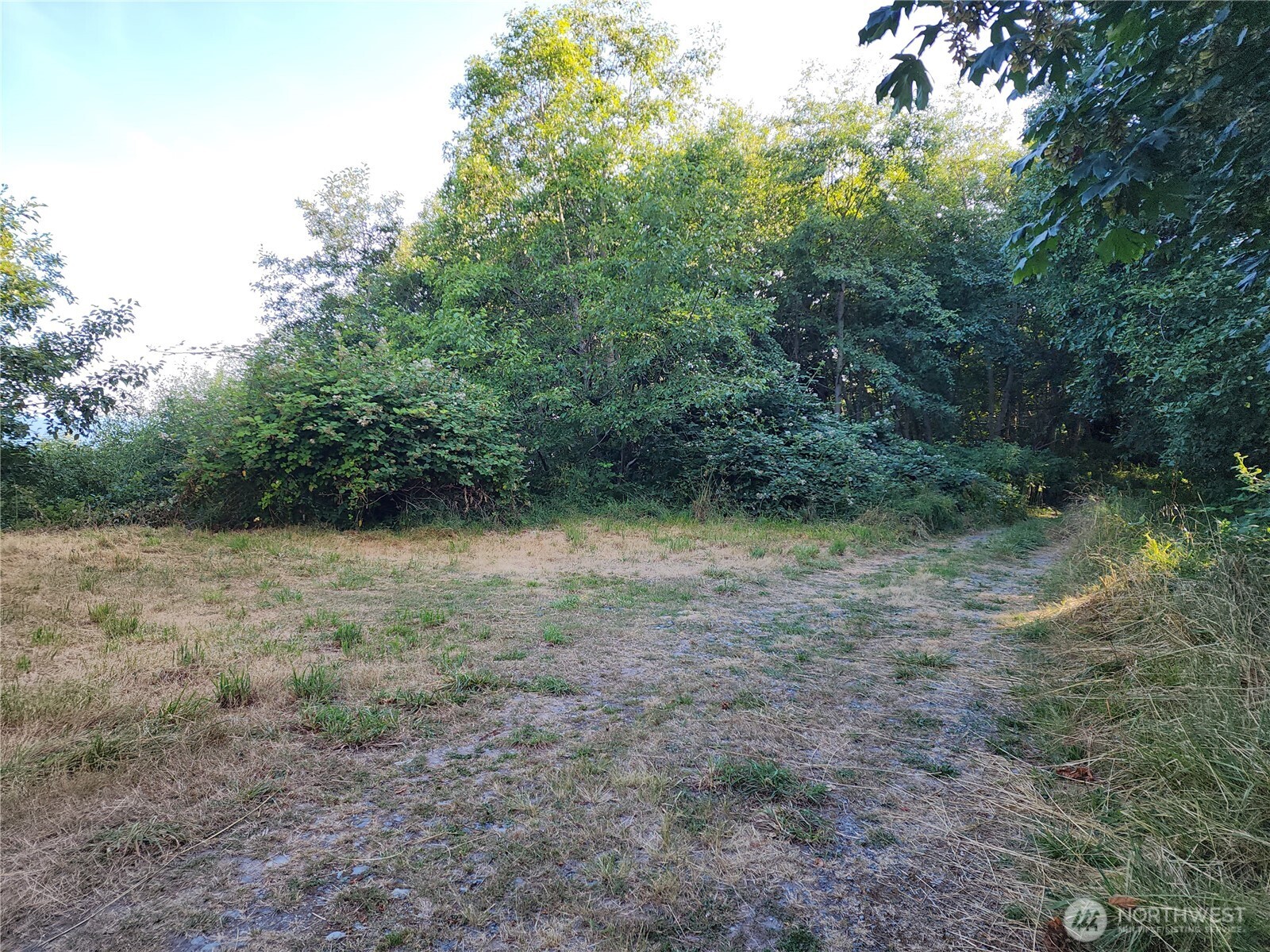 0 Whales Tail Property Photo 5