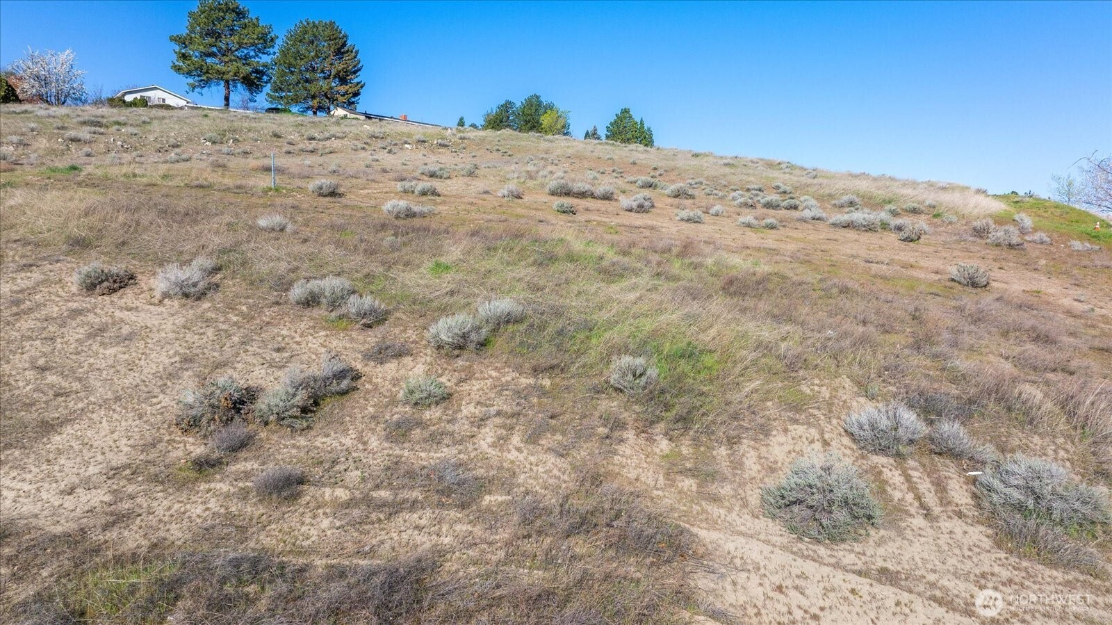 3820 Bing Street Property Photo 13