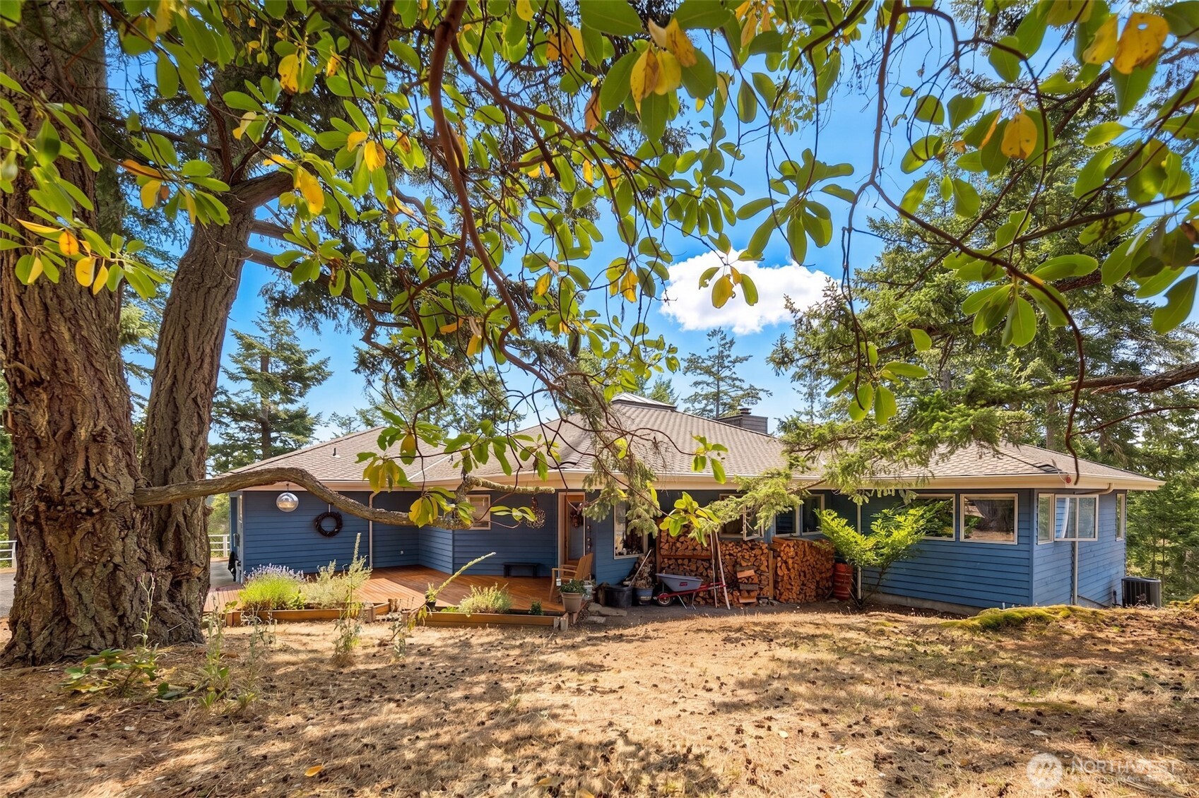 918 Terrace Drive Property Photo 3