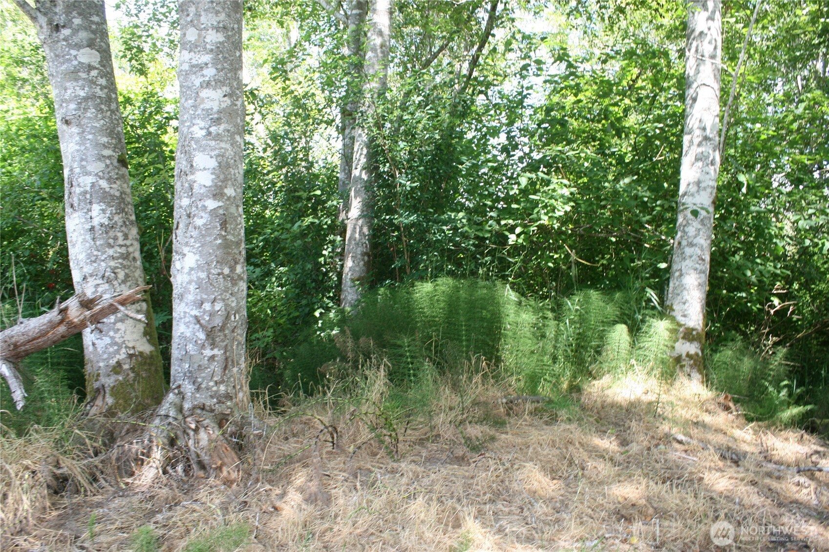 0 Farrell Street Property Photo 1