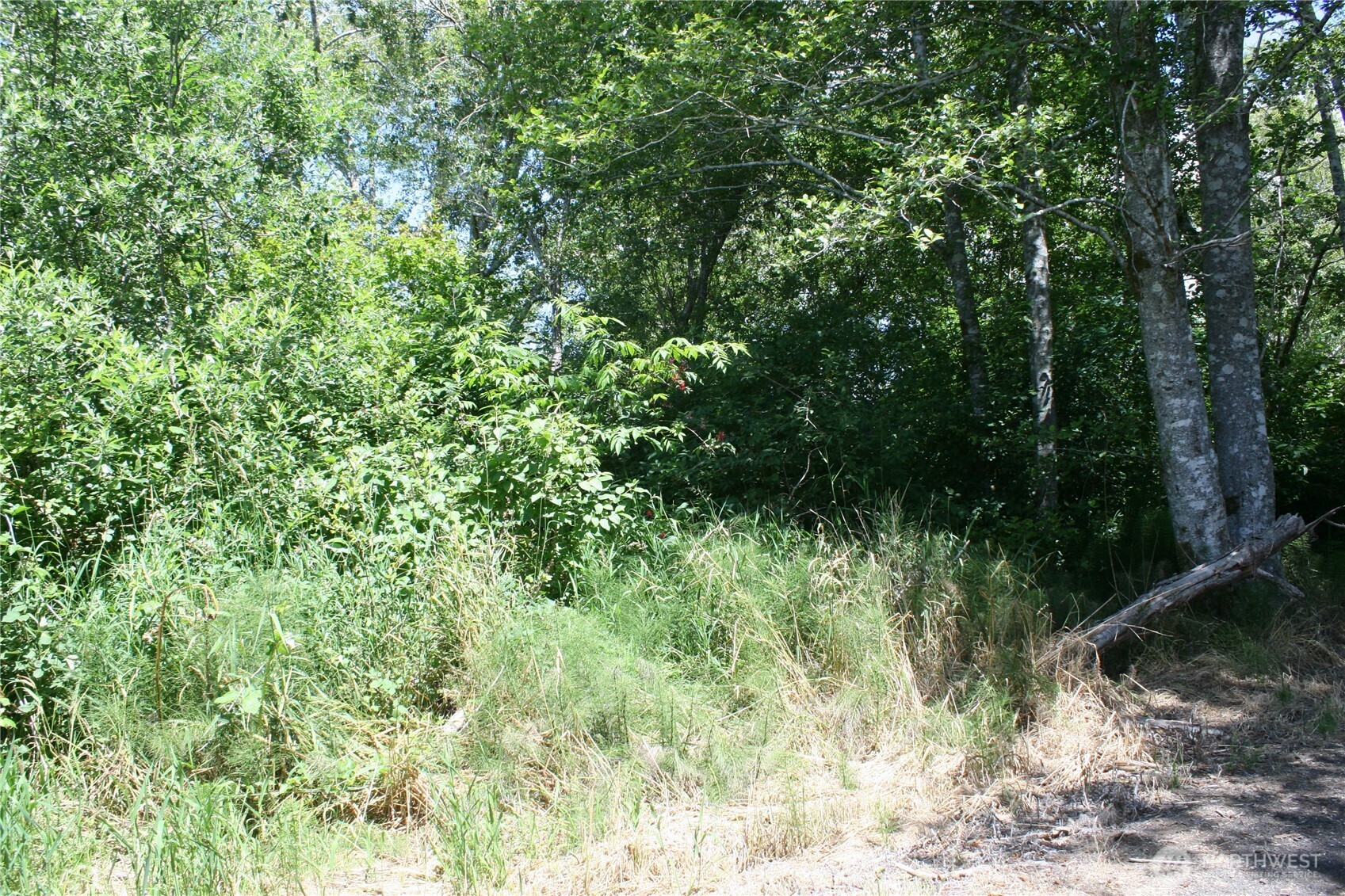 0 Farrell Street Property Photo 2
