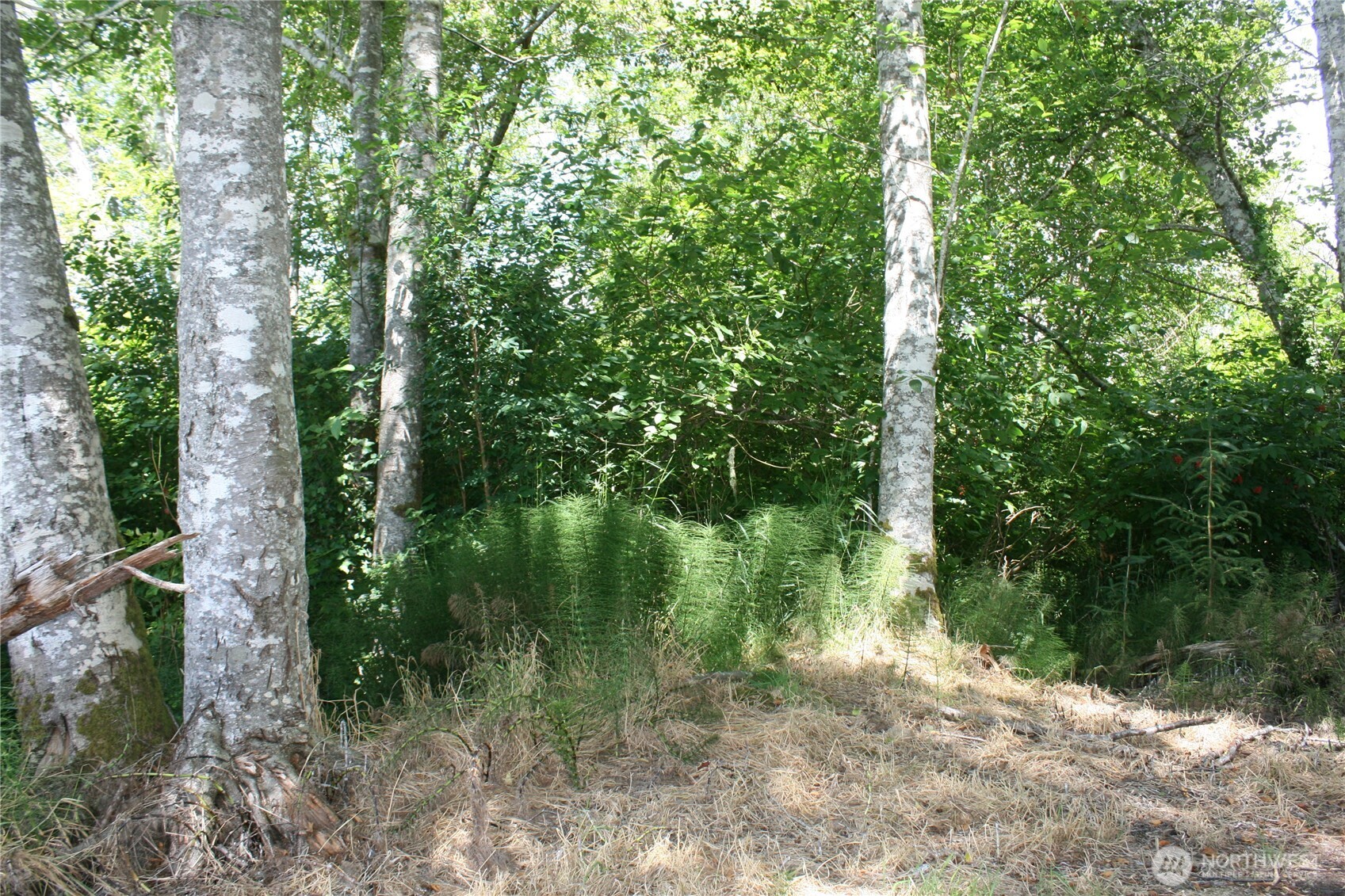 0 Farrell Street Property Photo 3