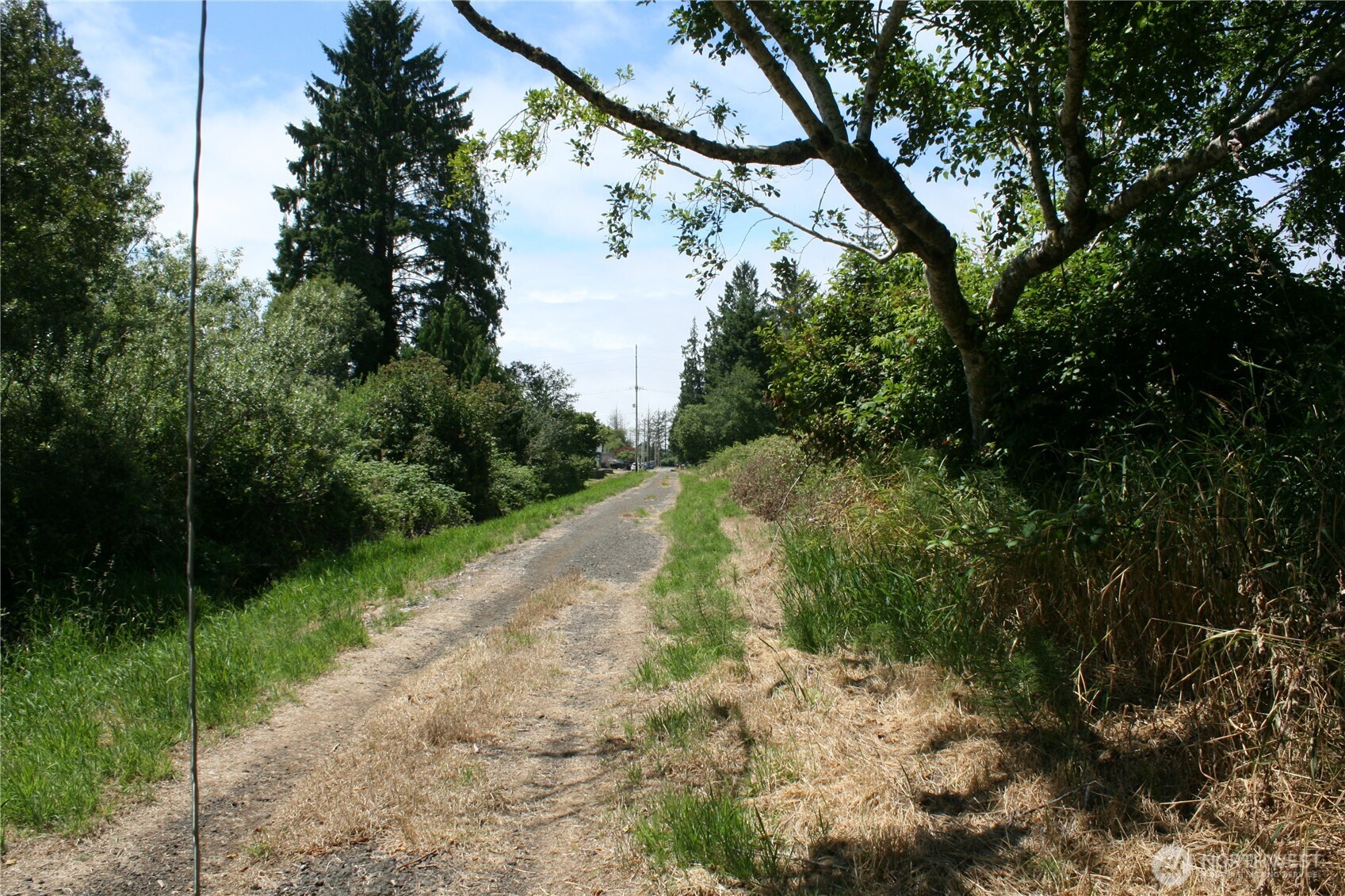 0 Farrell Street Property Photo 6