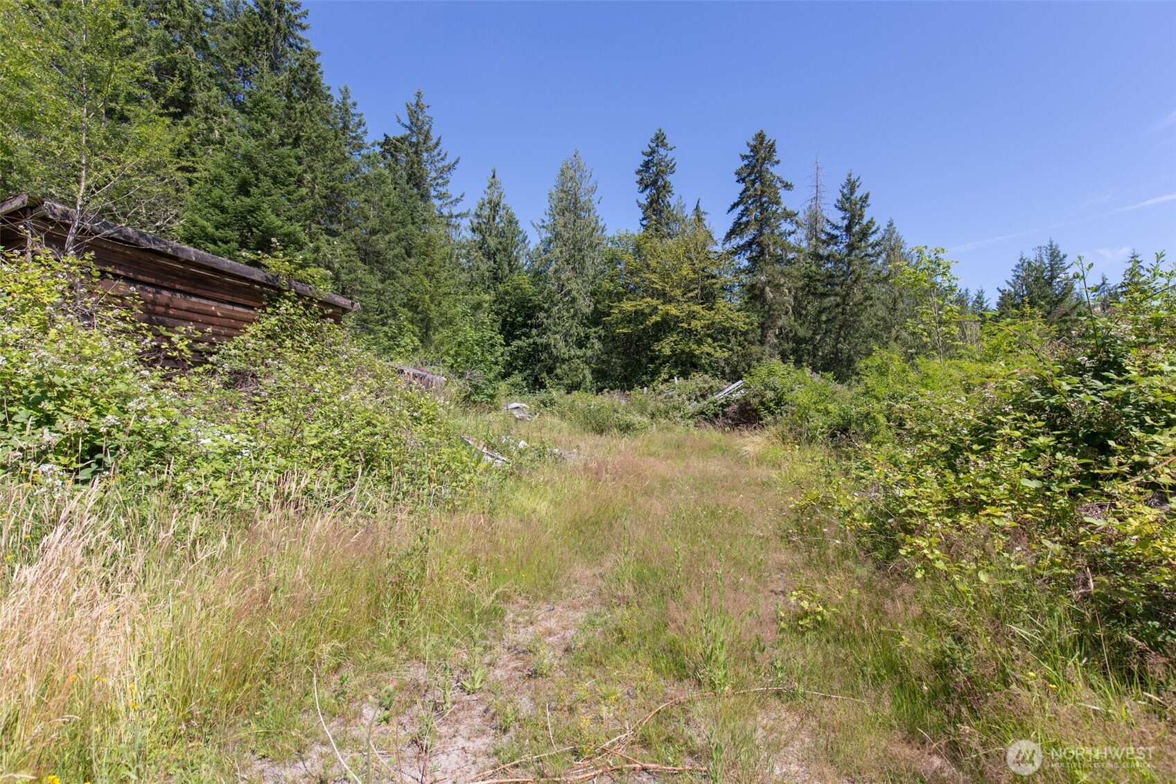 1766 Olson Road Property Photo 13