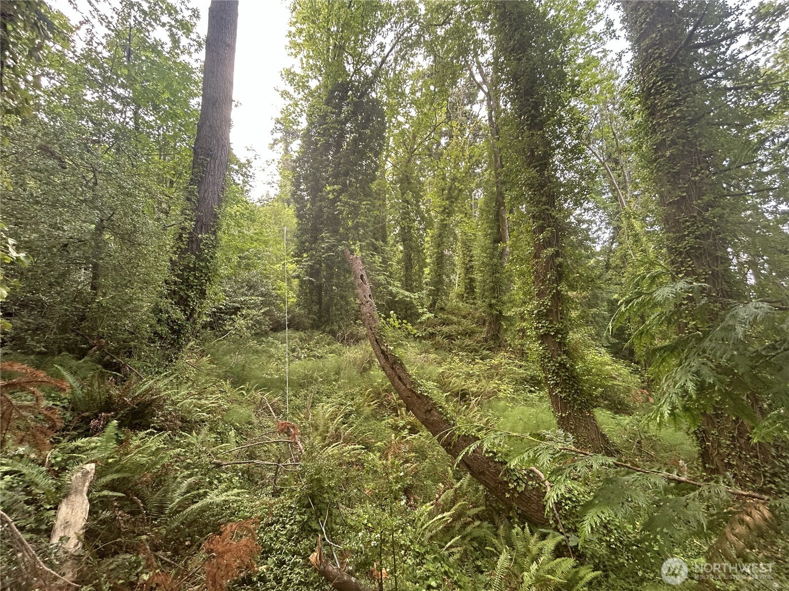1 Se Goat Trail Rd Property Photo 4