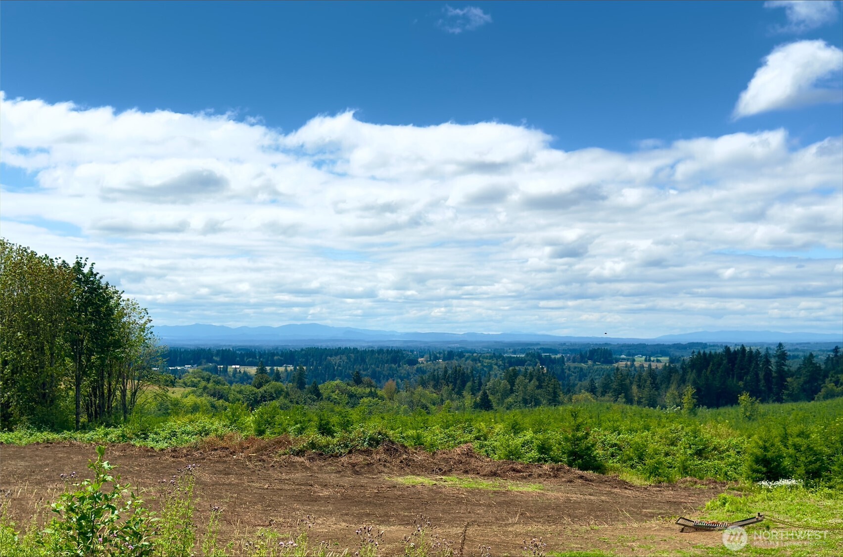 441 Schoen Road Property Photo 3