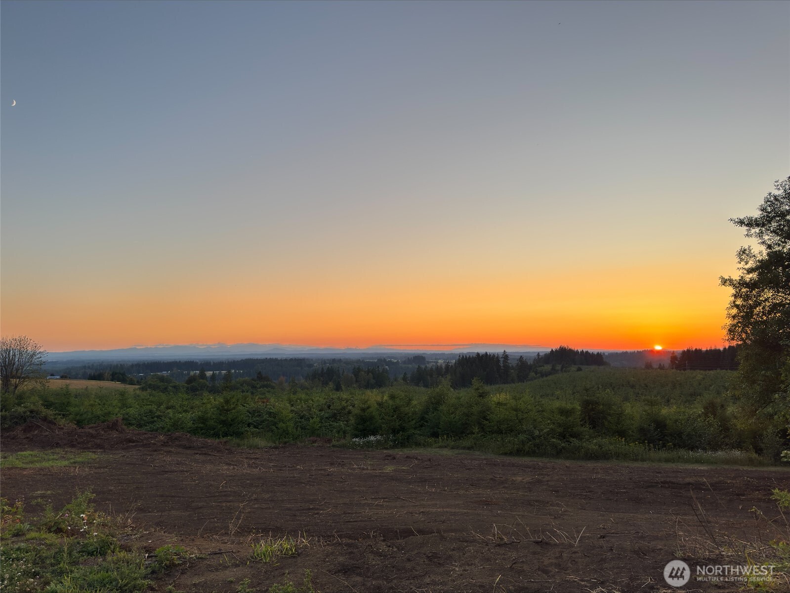 441 Schoen Road Property Photo 5