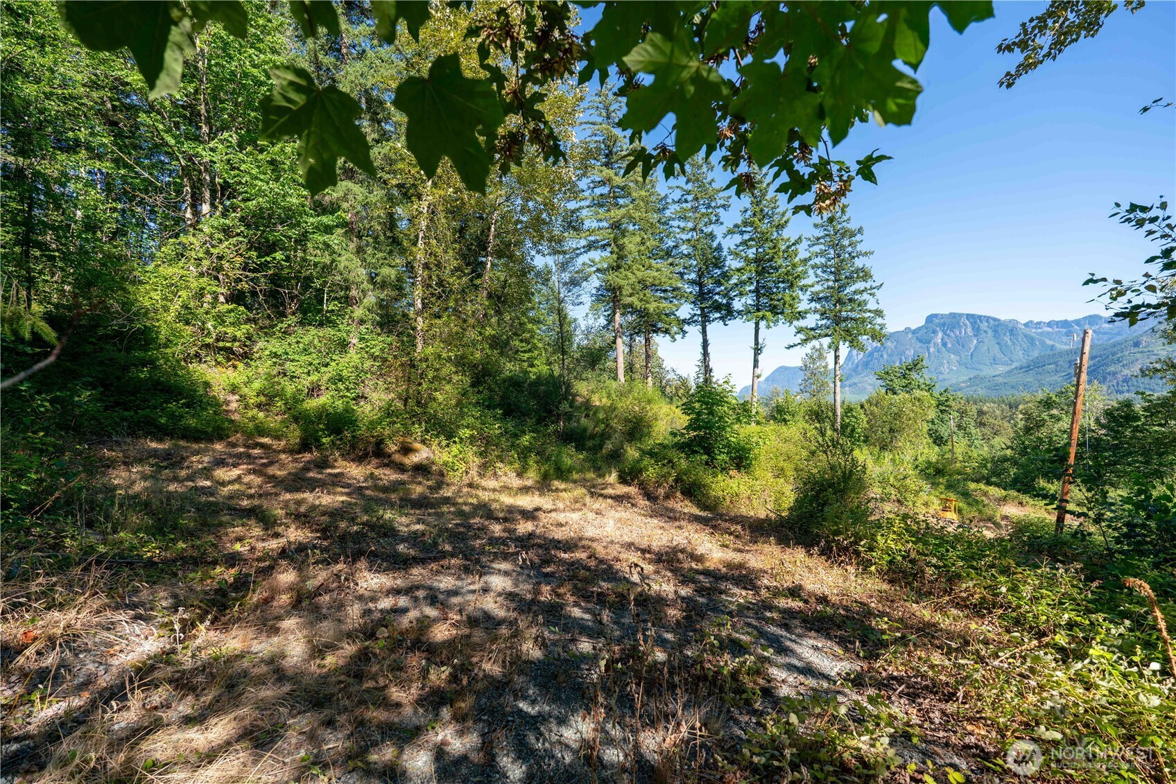 14405 399th Avenue Property Photo 3