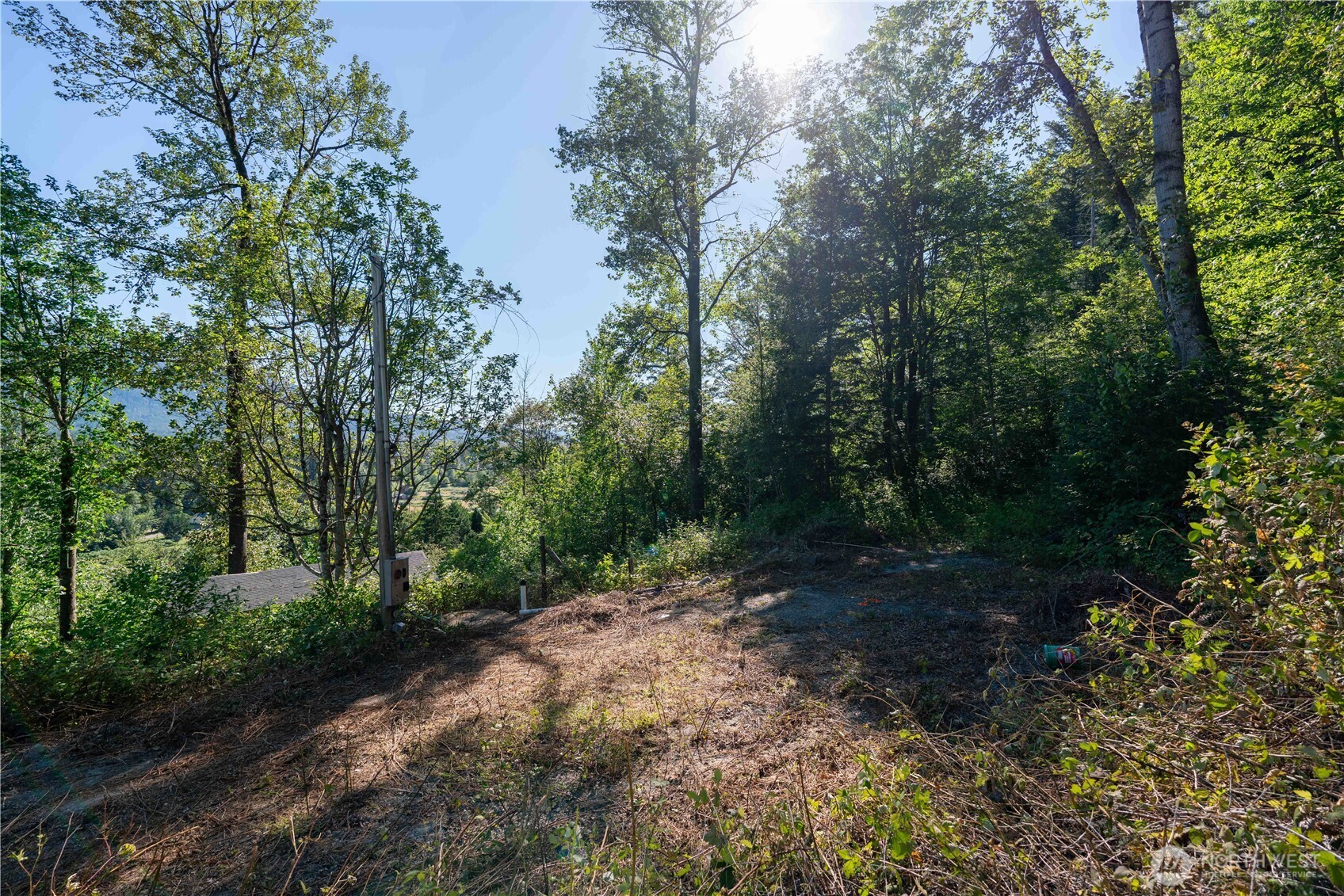 14405 399th Avenue Property Photo 4
