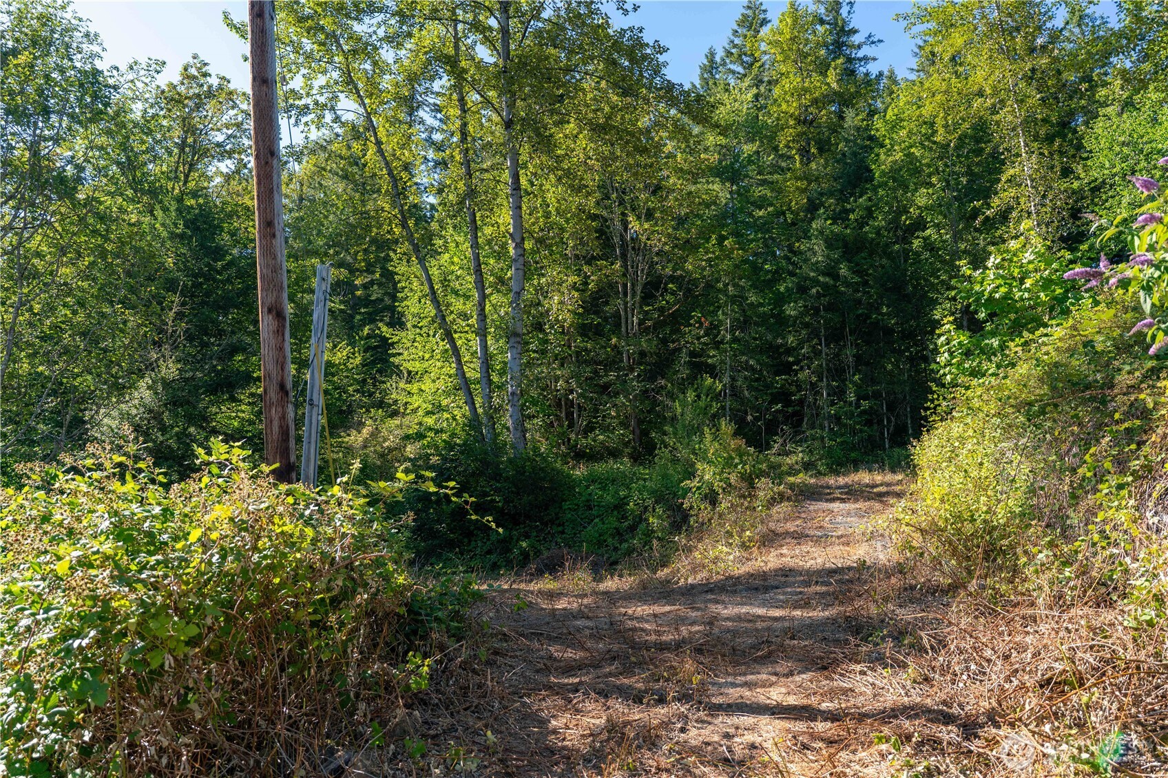 14405 399th Avenue Property Photo 5