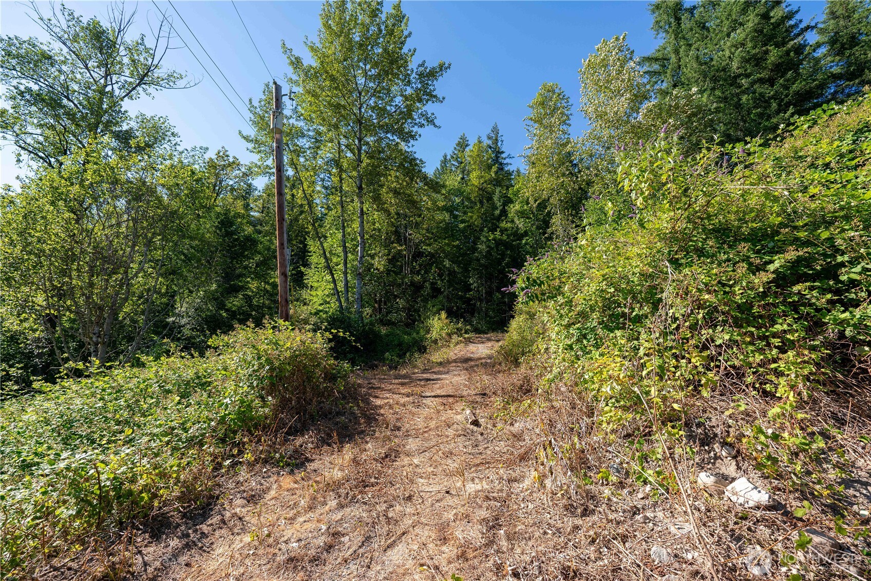 14405 399th Avenue Property Photo 6