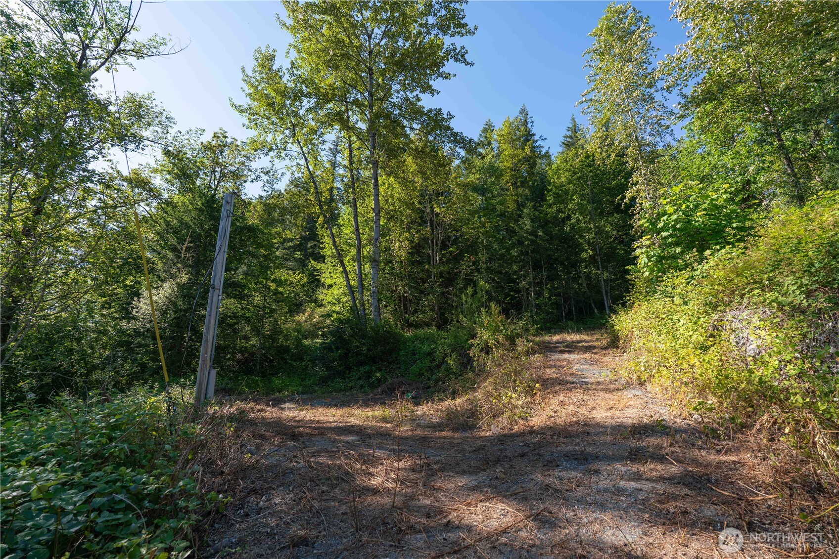 14405 399th Avenue Property Photo 7