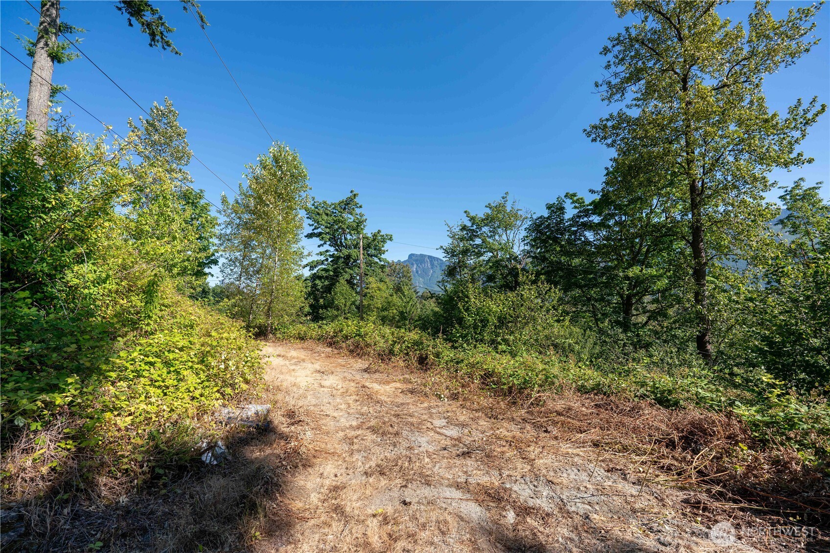 14405 399th Avenue Property Photo 8