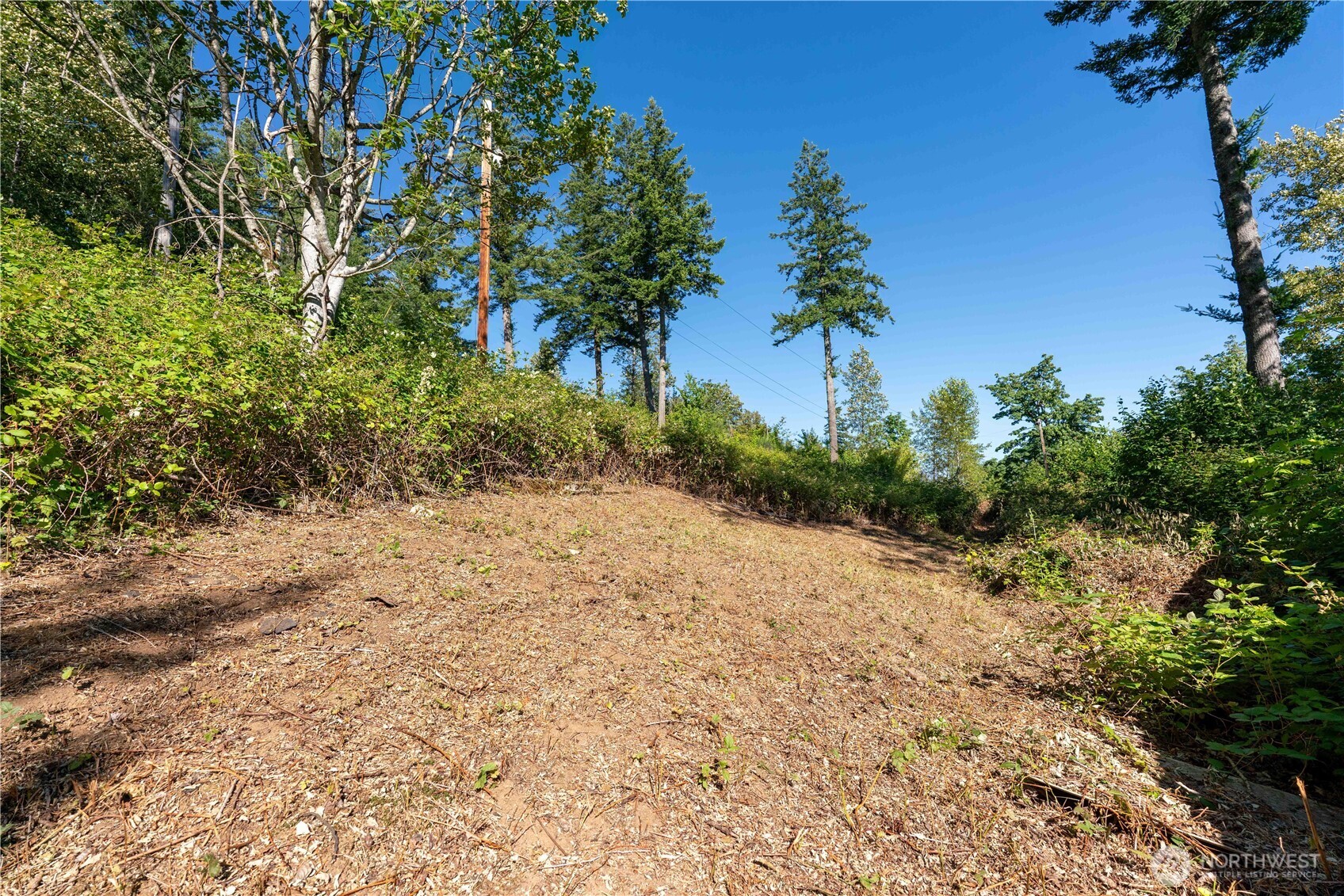 14405 399th Avenue Property Photo 10