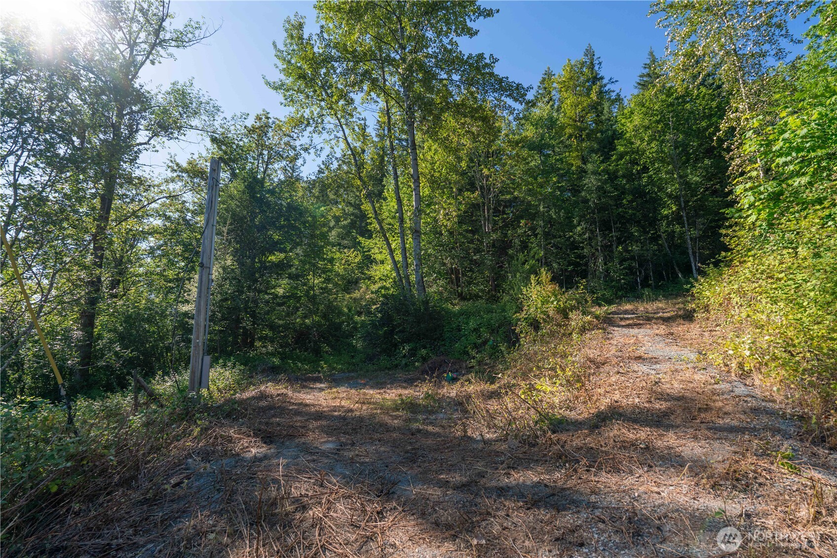 14405 399th Avenue Property Photo 11