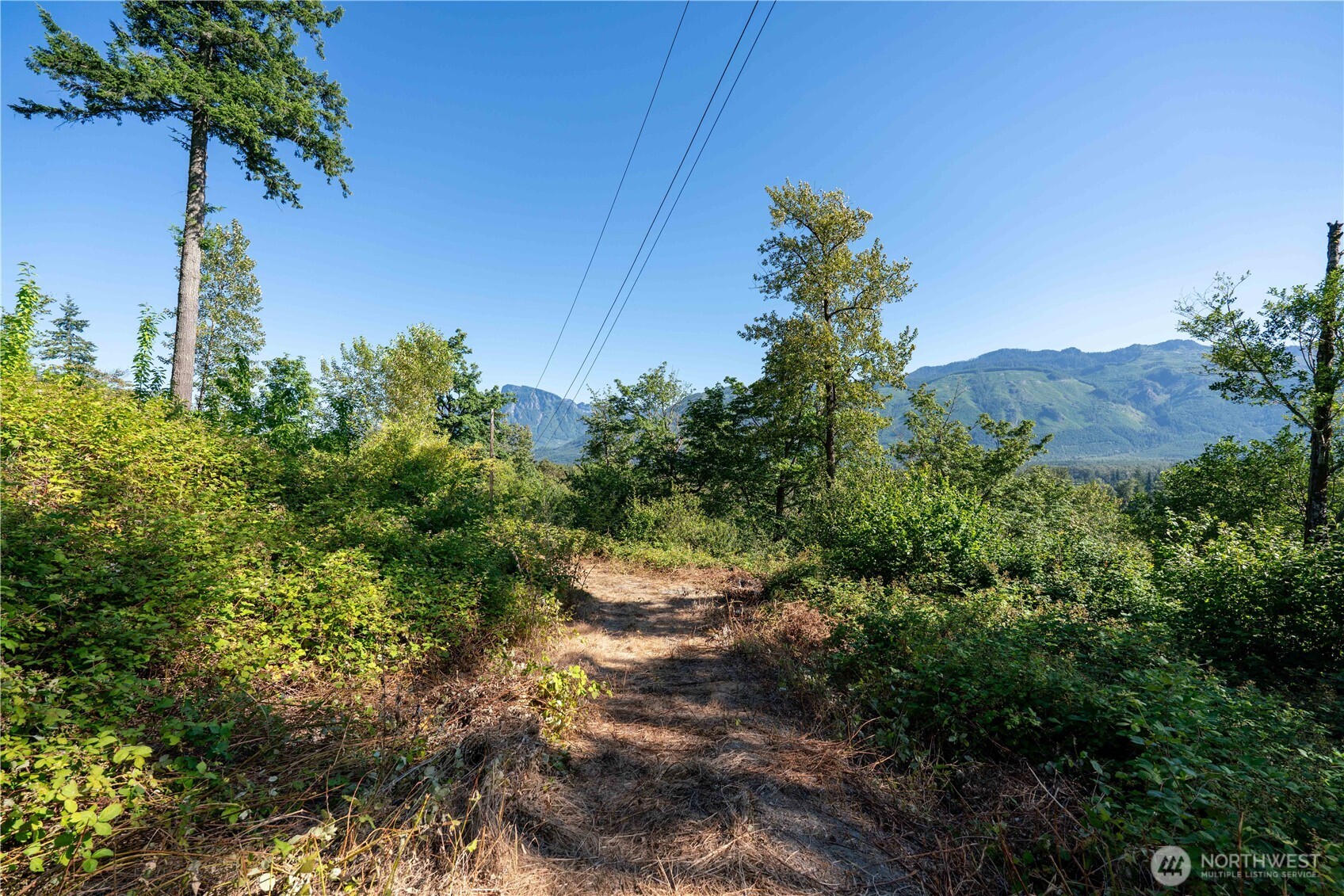14405 399th Avenue Property Photo 15