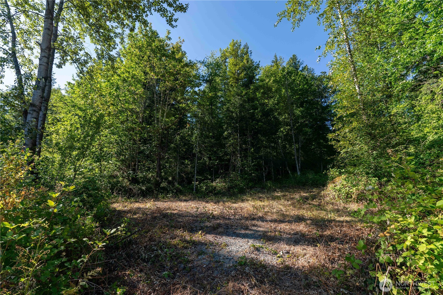 14405 399th Avenue Property Photo 23