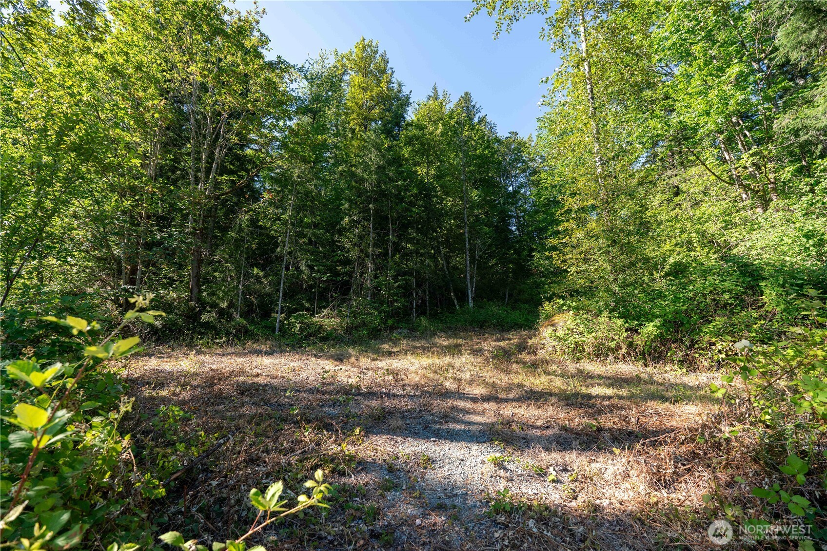 14405 399th Avenue Property Photo 31
