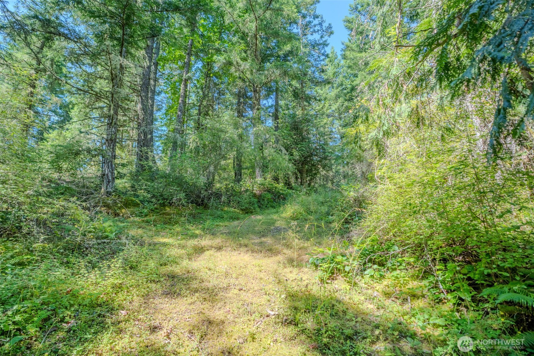 678 Swan Road Property Photo 4
