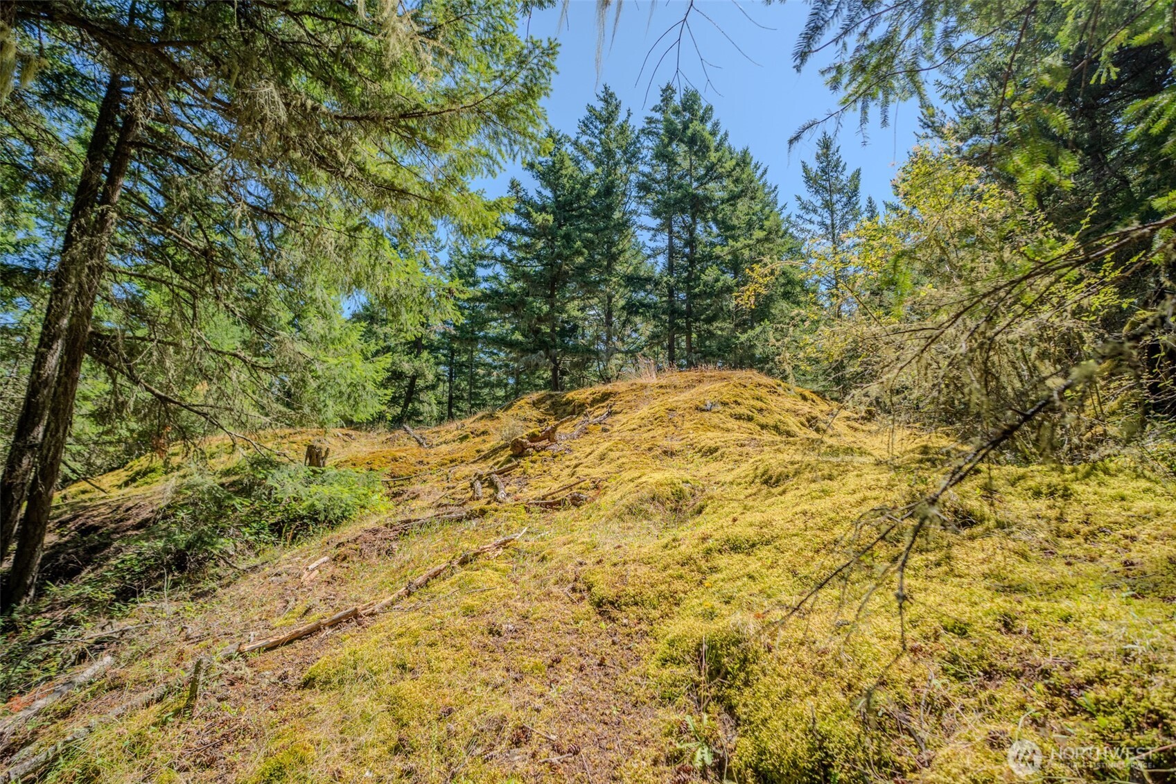 678 Swan Road Property Photo 19